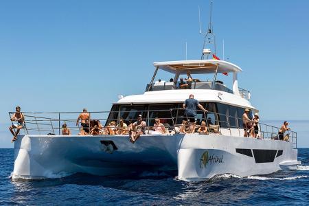 catamaran