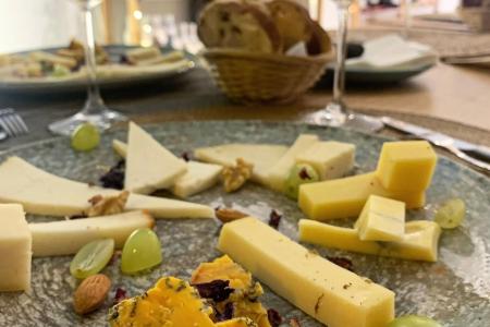 cata-quesos-vinos